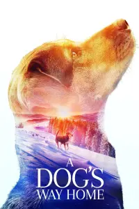 Poster to the movie "A Dog