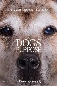 Poster to the movie "A Dog