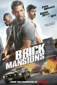 Poster to the movie "Brick Mansions" #89449