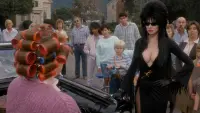 Backdrop to the movie "Elvira, Mistress of the Dark" #635495