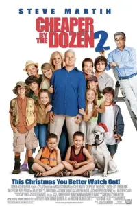 Poster to the movie "Cheaper by the Dozen 2" #414021