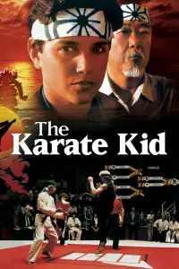 Poster to the movie "The Karate Kid" #60696