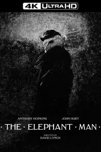 Poster to the movie "The Elephant Man" #124265