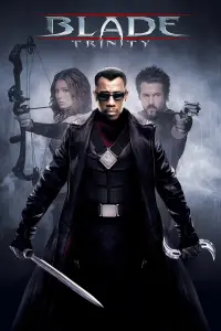 Poster to the movie "Blade: Trinity" #318902