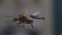 Backdrop to the movie "Ant-Man and the Wasp" #251482