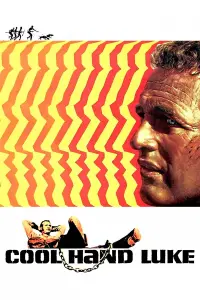 Poster to the movie "Cool Hand Luke" #102972