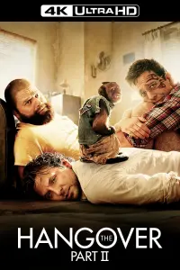 Poster to the movie "The Hangover Part II" #10780