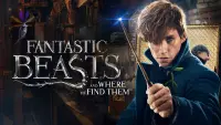 Backdrop to the movie "Fantastic Beasts and Where to Find Them" #25075