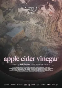 Poster to the movie "Apple Cider Vinegar" #473981