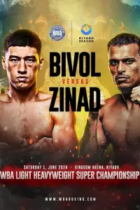 Poster to the movie "Dmitry Bivol vs. Malik Zinad" #487809