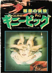 Poster to the movie "Guinea Pig: Devil