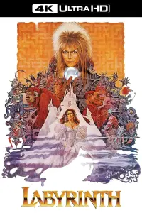 Poster to the movie "Labyrinth" #121812