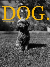 Poster to the movie "Dog (The Mockumentary)" #568080