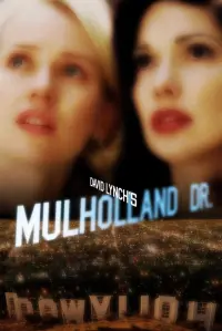 Poster to the movie "Mulholland Drive" #35012