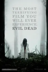 Poster to the movie "Evil Dead" #74023