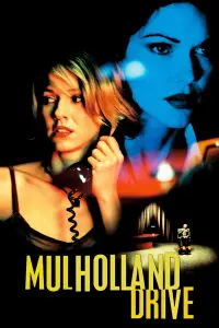 Poster to the movie "Mulholland Drive" #34984