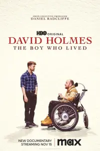 Poster to the movie "David Holmes: The Boy Who Lived" #106483