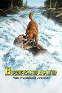 Poster to the movie "Homeward Bound: The Incredible Journey" #251064