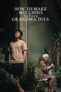 Poster to the movie "How To Make Millions Before Grandma Dies" #578364