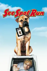 See Spot Run