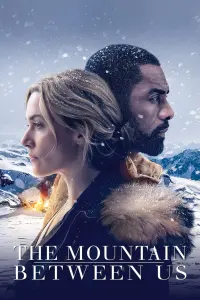 Poster to the movie "The Mountain Between Us" #60187