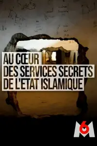 Poster to the movie "Au coeur des services secrets de l