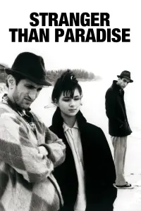 Poster to the movie "Stranger Than Paradise" #237123