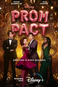 Poster to the movie "Prom Pact" #90237