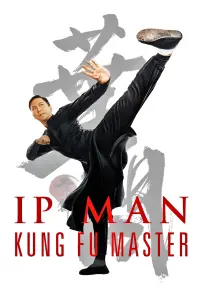 Poster to the movie "Ip Man: Kung Fu Master" #89340