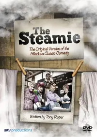 Poster to the movie "The Steamie" #500174