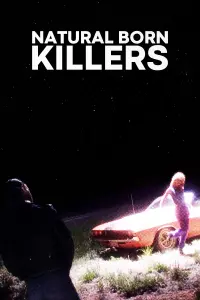 Poster to the movie "Natural Born Killers" #544641