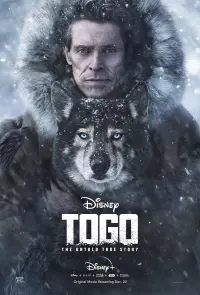 Poster to the movie "Togo" #61353