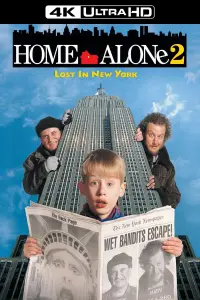 Poster to the movie "Home Alone 2: Lost in New York" #163489