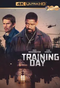 Poster to the movie "Training Day" #211531