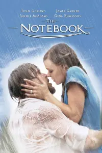 Poster to the movie "The Notebook" #667668