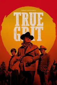 Poster to the movie "True Grit" #551535