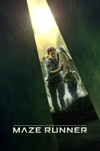 Poster to the movie "The Maze Runner" #234628