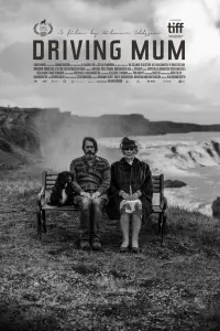 Poster to the movie "Driving Mum" #198559