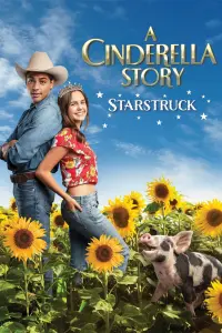 Poster to the movie "A Cinderella Story: Starstruck" #354932