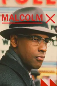 Poster to the movie "Malcolm X" #112591