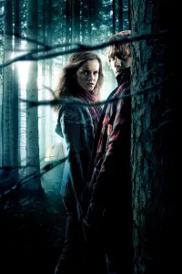 Poster to the movie "Harry Potter and the Deathly Hallows: Part 1" #166071