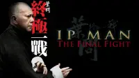 Backdrop to the movie "Ip Man: The Final Fight" #302371