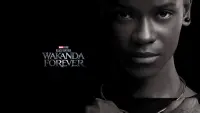 Backdrop to the movie "Black Panther: Wakanda Forever" #4260