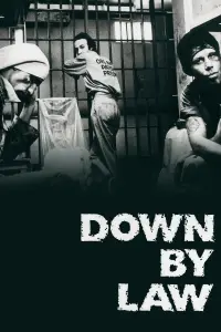 Poster to the movie "Down by Law" #221592