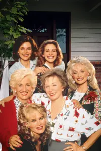 Poster to the movie "Steel Magnolias" #473973