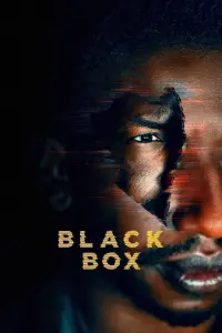 Poster to the movie "Black Box" #133369