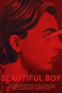 Poster to the movie "Beautiful Boy" #480965