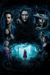 Poster to the movie "Into the Woods" #373895