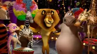 Backdrop to the movie "Madagascar 3: Europe