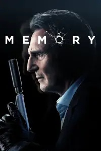 Poster to the movie "Memory" #37739